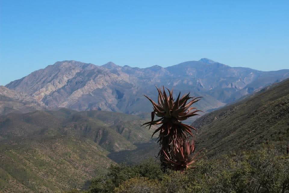 Swartberg Mountains